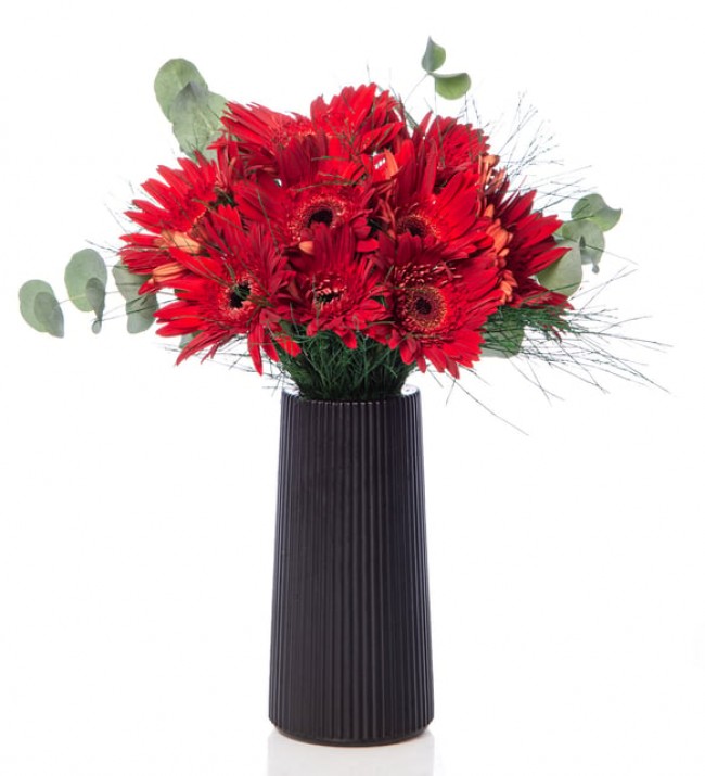 Vazoda Kırmızı Gerbera Çiçekleri